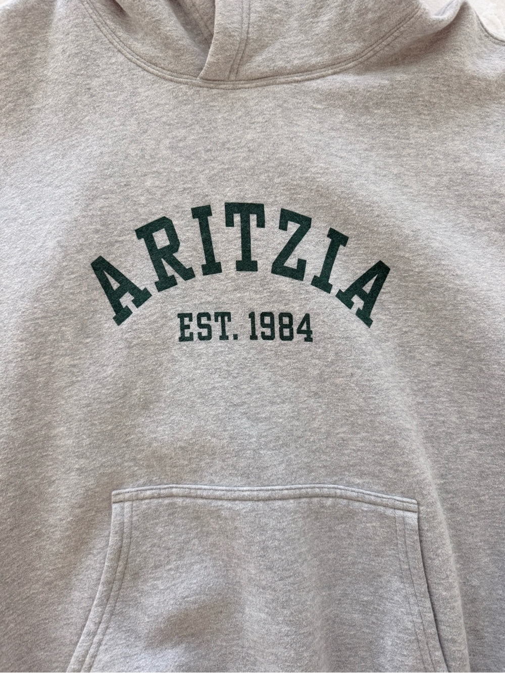 Aritzia Gray Hooded Sweatshirt - Picture 2 of 3